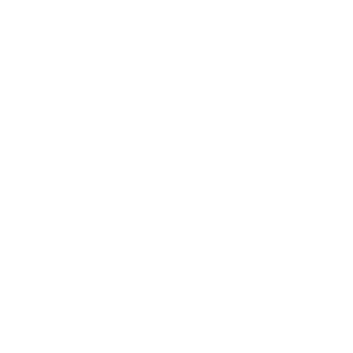 Document Review Icon